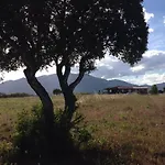 Serra Piana * Linguizzetta