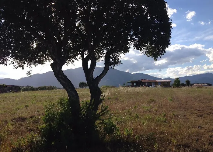 Serra Piana * Linguizzetta